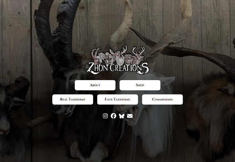 Zhon Creations Desktop Website Screenshot